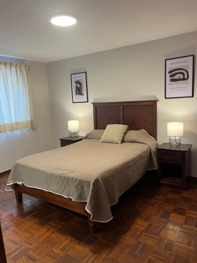 Casa Tigris Hotel Mexico City Ngoại thất bức ảnh